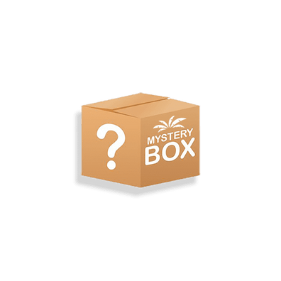 Exotic Snacks Mystery Box - Starter